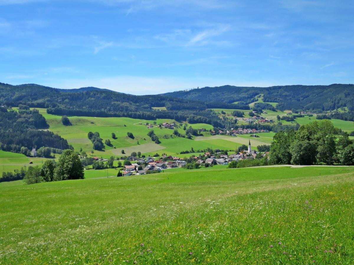 Holiday Home Mayrhofer - Mon240 By Interhome Oberwang Exterior foto